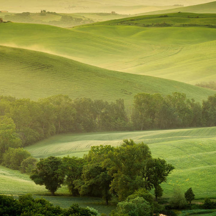 WBCSD_One Planet Business for Biodiversity (OP2B)