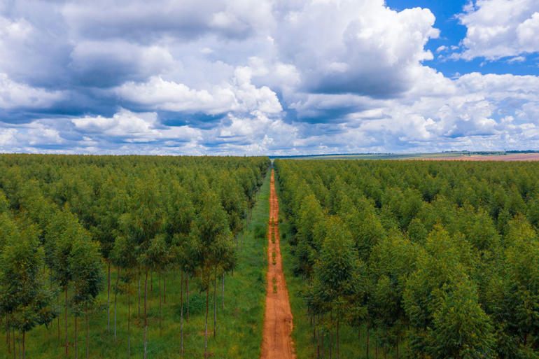 Restore Fund for carbon removal