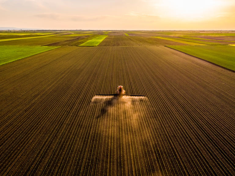 soybean-field