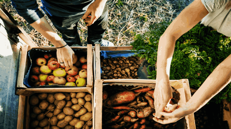 food and agriculture