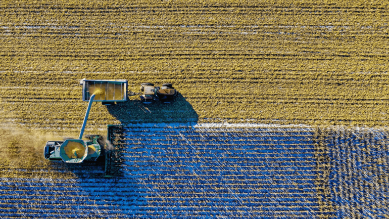 sustainable agriculture