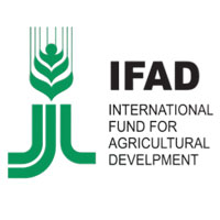     IFAD